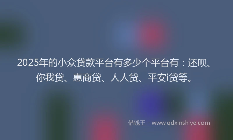 2025年的小众贷款平台有多少个平台有：还呗、你我贷、惠商贷、人人贷、平安i贷等。