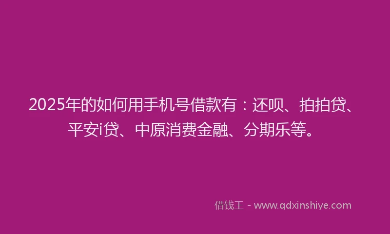 2025年的如何用手机号借款有：还呗、拍拍贷、平安i贷、中原消费金融、分期乐等。