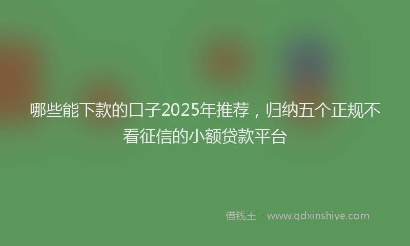 哪些能下款的口子2025年推荐，归纳五个正规不看征信的小额贷款平台