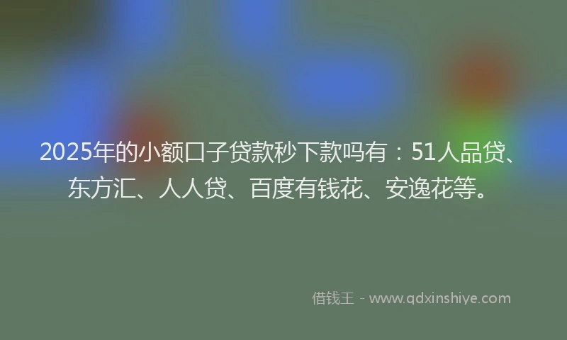 2025年的小额口子贷款秒下款吗有：51人品贷、东方汇、人人贷、百度有钱花、安逸花等。