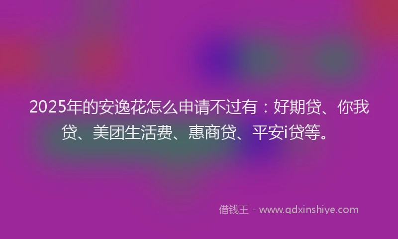 2025年的安逸花怎么申请不过有：好期贷、你我贷、美团生活费、惠商贷、平安i贷等。