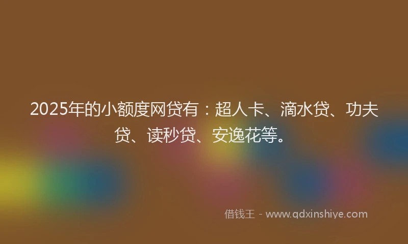 2025年的小额度网贷有：超人卡、滴水贷、功夫贷、读秒贷、安逸花等。