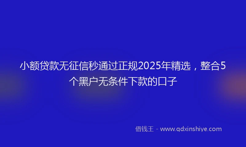 小额贷款无征信秒通过正规2025年精选，整合5个黑户无条件下款的口子