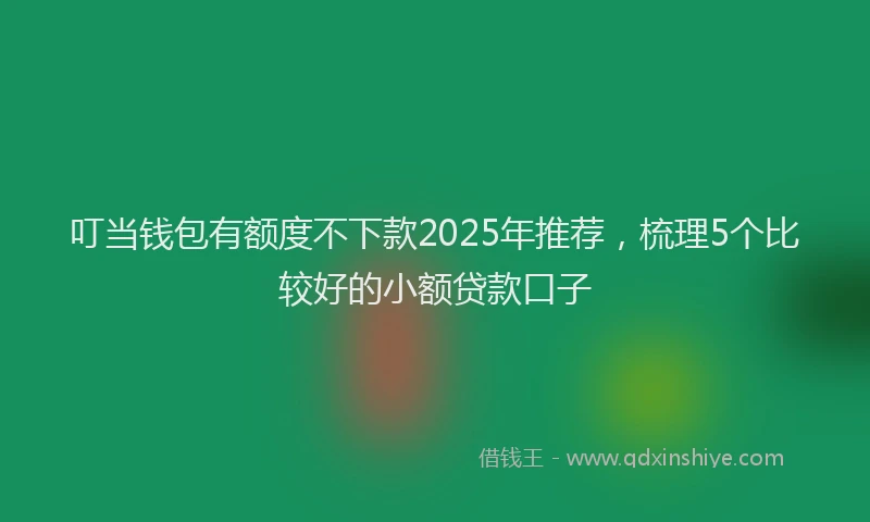 叮当钱包有额度不下款2025年推荐，梳理5个比较好的小额贷款口子