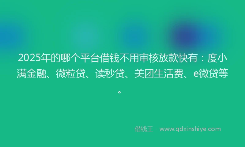 2025年的哪个平台借钱不用审核放款快有：度小满金融、微粒贷、读秒贷、美团生活费、e微贷等。