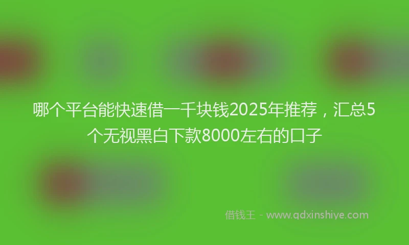 哪个平台能快速借一千块钱2025年推荐，汇总5个无视黑白下款8000左右的口子