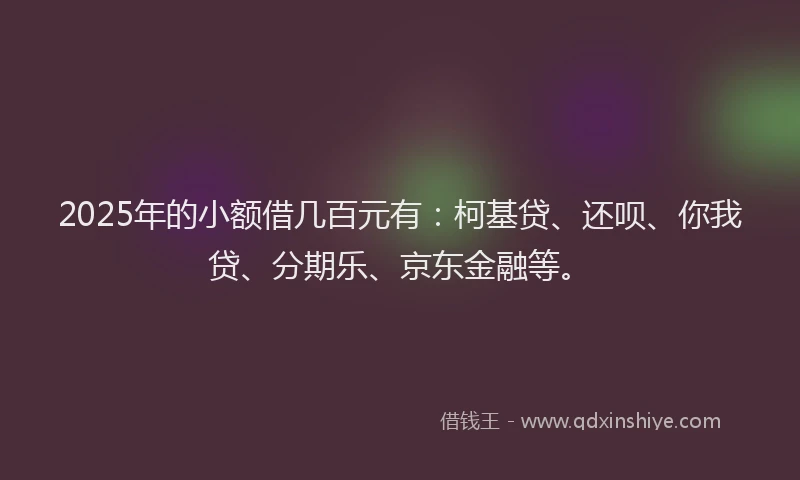 2025年的小额借几百元有：柯基贷、还呗、你我贷、分期乐、京东金融等。