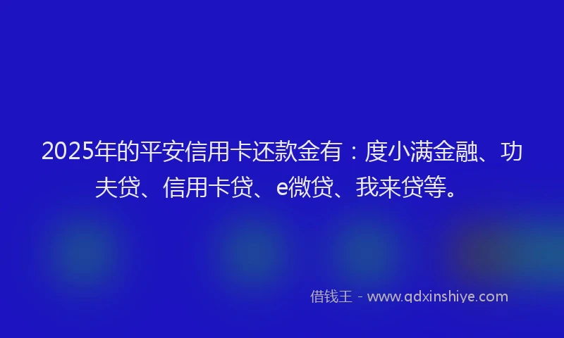 2025年的平安信用卡还款金有：度小满金融、功夫贷、信用卡贷、e微贷、我来贷等。