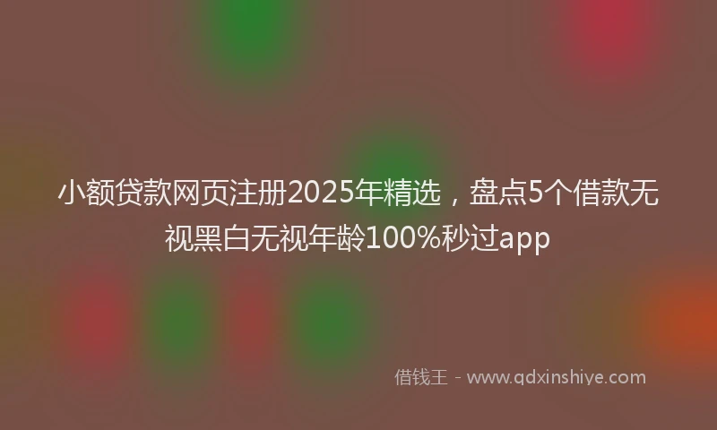 小额贷款网页注册2025年精选，盘点5个借款无视黑白无视年龄100%秒过app