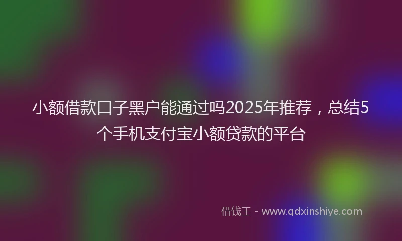 小额借款口子黑户能通过吗2025年推荐，总结5个手机支付宝小额贷款的平台