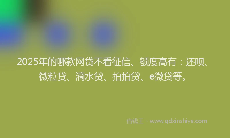 2025年的哪款网贷不看征信、额度高有：还呗、微粒贷、滴水贷、拍拍贷、e微贷等。