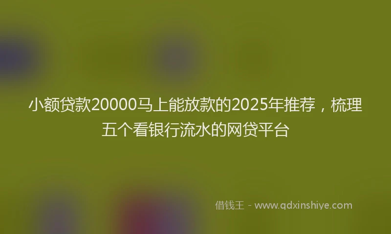 小额贷款20000马上能放款的2025年推荐，梳理五个看银行流水的网贷平台