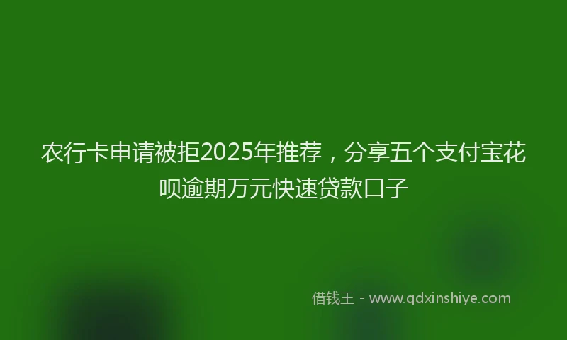 农行卡申请被拒2025年推荐，分享五个支付宝花呗逾期万元快速贷款口子