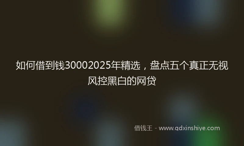 如何借到钱30002025年精选，盘点五个真正无视风控黑白的网贷