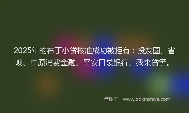 2025年的布丁小贷核准成功被拒有：投友圈、省呗、中原消费金融、平安口袋银行、我来贷等。