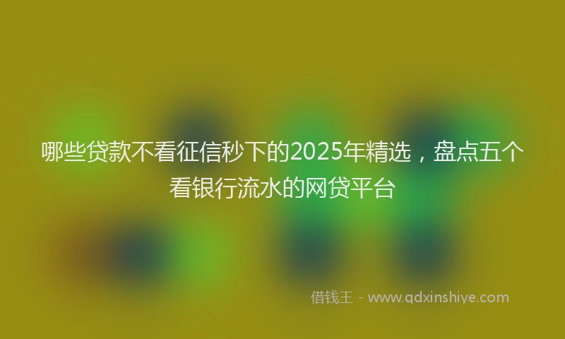 哪些贷款不看征信秒下的2025年精选，盘点五个看银行流水的网贷平台