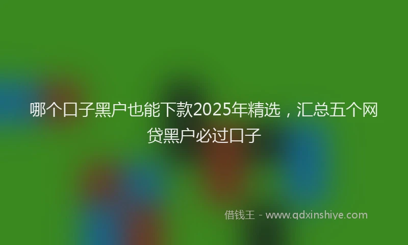 哪个口子黑户也能下款2025年精选，汇总五个网贷黑户必过口子
