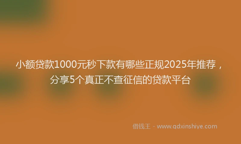 小额贷款1000元秒下款有哪些正规2025年推荐，分享5个真正不查征信的贷款平台