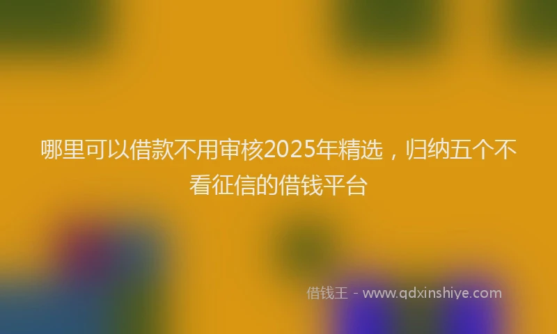 哪里可以借款不用审核2025年精选，归纳五个不看征信的借钱平台