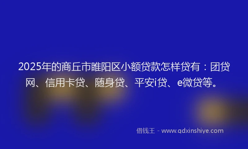 2025年的商丘市睢阳区小额贷款怎样贷有：团贷网、信用卡贷、随身贷、平安i贷、e微贷等。