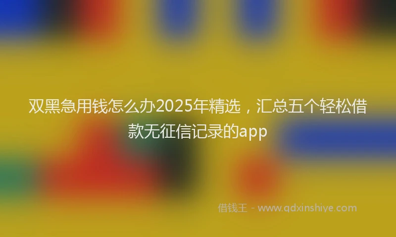 双黑急用钱怎么办2025年精选，汇总五个轻松借款无征信记录的app