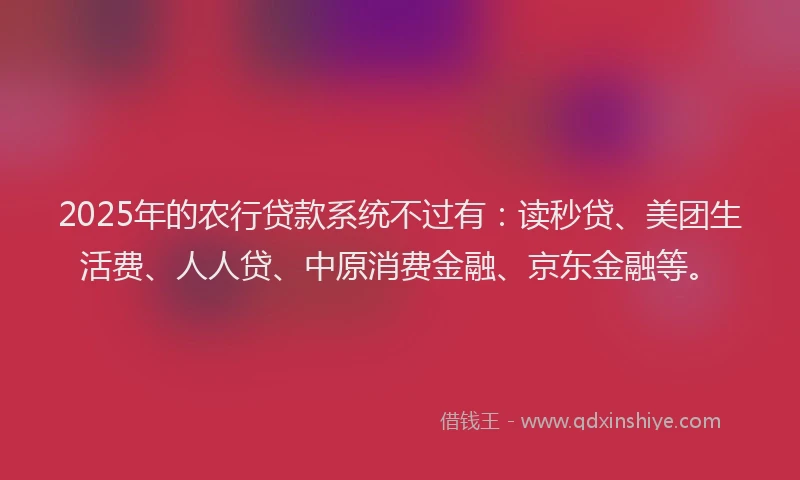 2025年的农行贷款系统不过有：读秒贷、美团生活费、人人贷、中原消费金融、京东金融等。