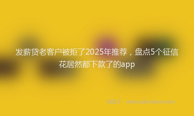 发薪贷老客户被拒了2025年推荐，盘点5个征信花居然都下款了的app