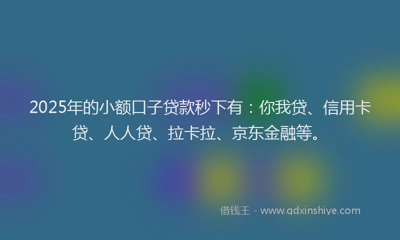 2025年的小额口子贷款秒下有：你我贷、信用卡贷、人人贷、拉卡拉、京东金融等。