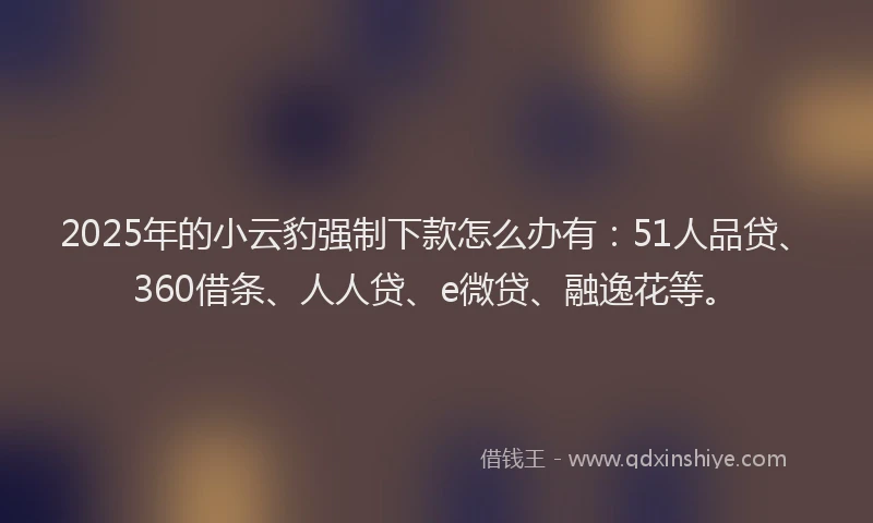 2025年的小云豹强制下款怎么办有：51人品贷、360借条、人人贷、e微贷、融逸花等。