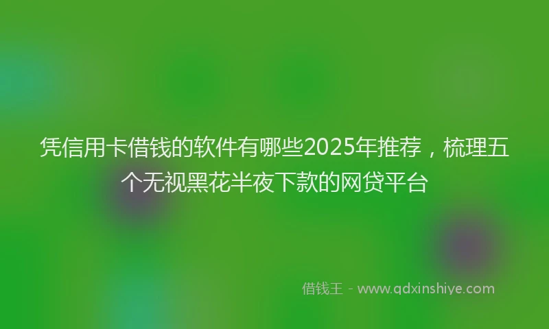 凭信用卡借钱的软件有哪些2025年推荐，梳理五个无视黑花半夜下款的网贷平台