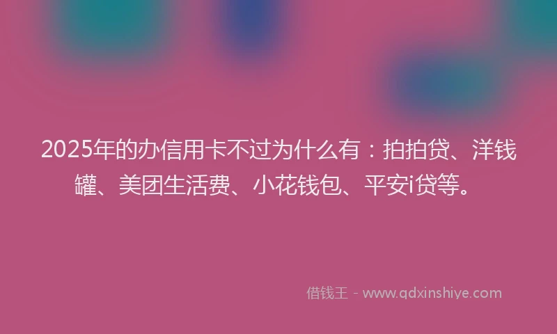 2025年的办信用卡不过为什么有：拍拍贷、洋钱罐、美团生活费、小花钱包、平安i贷等。