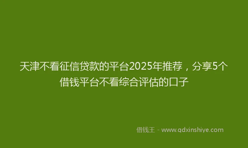天津不看征信贷款的平台2025年推荐，分享5个借钱平台不看综合评估的口子