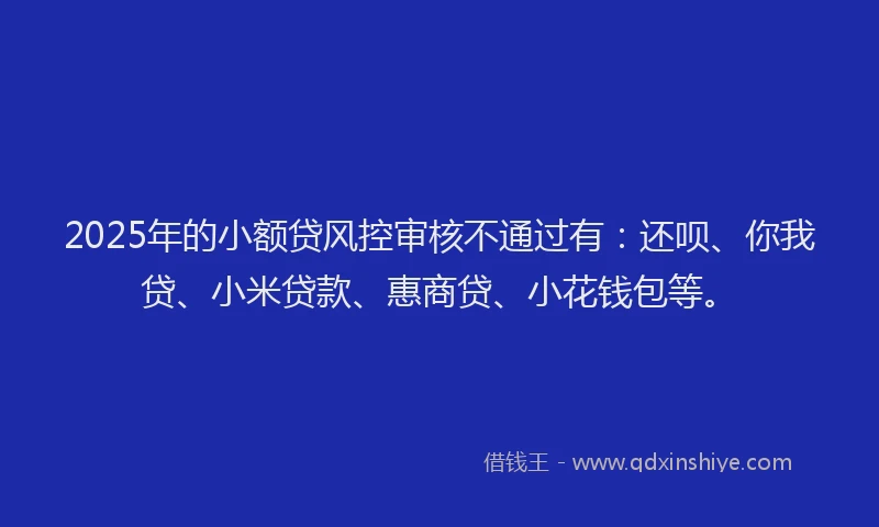 2025年的小额贷风控审核不通过有：还呗、你我贷、小米贷款、惠商贷、小花钱包等。