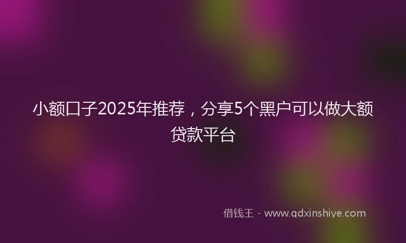 小额口子2025年推荐，分享5个黑户可以做大额贷款平台