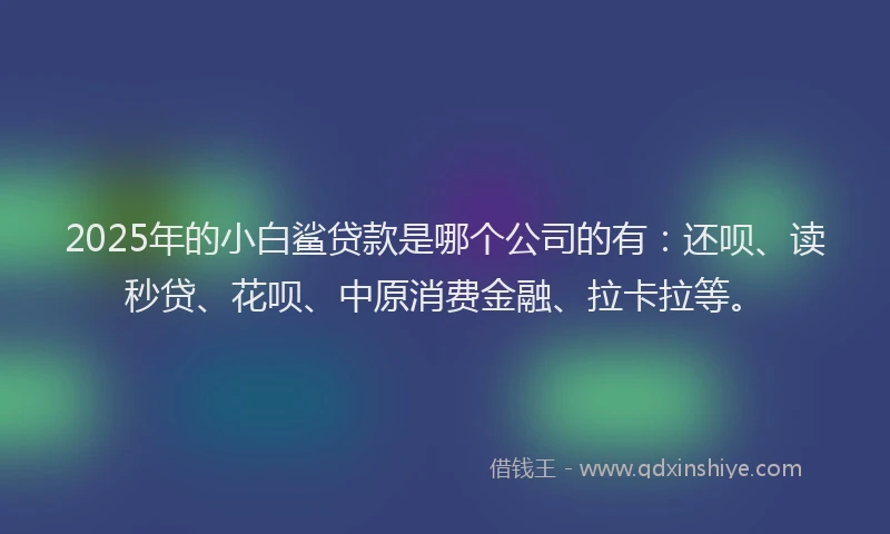 2025年的小白鲨贷款是哪个公司的有：还呗、读秒贷、花呗、中原消费金融、拉卡拉等。