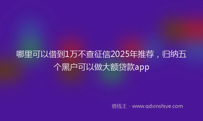哪里可以借到1万不查征信2025年推荐，归纳五个黑户可以做大额贷款app