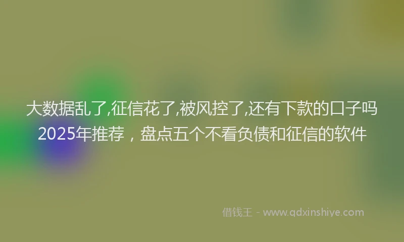 大数据乱了,征信花了,被风控了,还有下款的口子吗2025年推荐，盘点五个不看负债和征信的软件