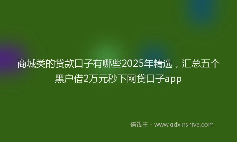 商城类的贷款口子有哪些2025年精选，汇总五个黑户借2万元秒下网贷口子app