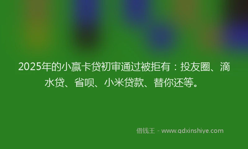 2025年的小赢卡贷初审通过被拒有：投友圈、滴水贷、省呗、小米贷款、替你还等。