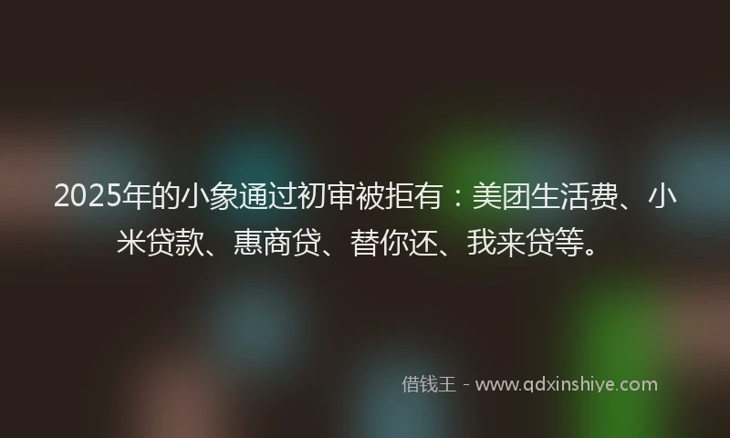 2025年的小象通过初审被拒有：美团生活费、小米贷款、惠商贷、替你还、我来贷等。