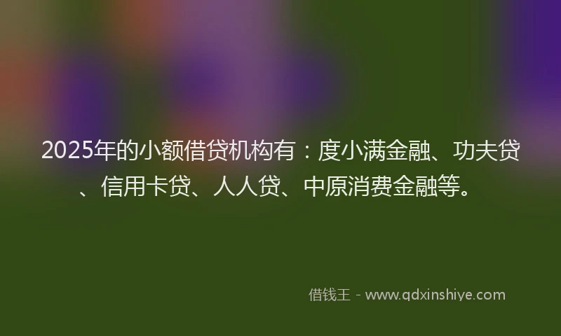 2025年的小额借贷机构有：度小满金融、功夫贷、信用卡贷、人人贷、中原消费金融等。