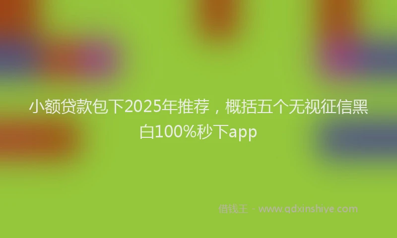 小额贷款包下2025年推荐，概括五个无视征信黑白100%秒下app