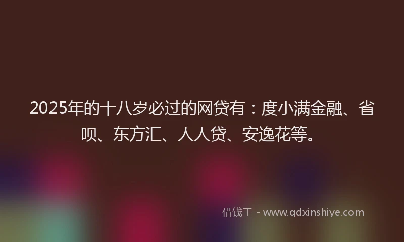 2025年的十八岁必过的网贷有：度小满金融、省呗、东方汇、人人贷、安逸花等。