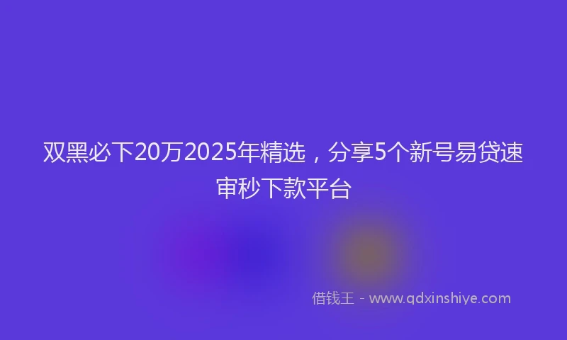 双黑必下20万2025年精选，分享5个新号易贷速审秒下款平台