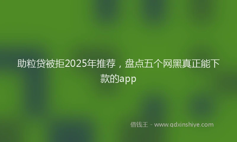 助粒贷被拒2025年推荐，盘点五个网黑真正能下款的app
