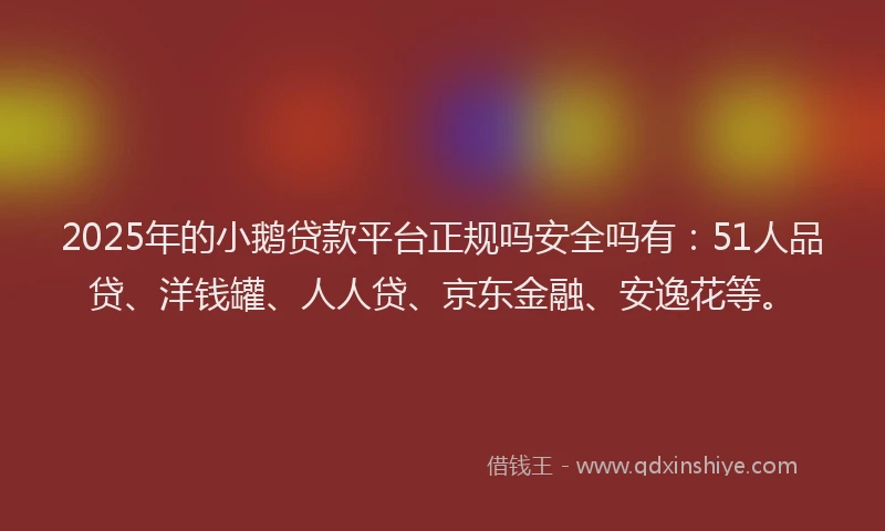 2025年的小鹅贷款平台正规吗安全吗有：51人品贷、洋钱罐、人人贷、京东金融、安逸花等。