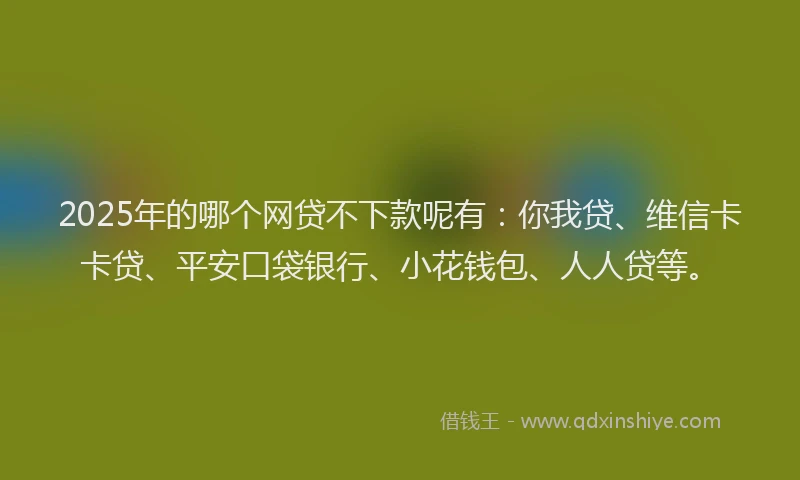 2025年的哪个网贷不下款呢有：你我贷、维信卡卡贷、平安口袋银行、小花钱包、人人贷等。
