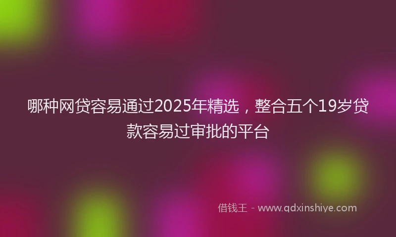 哪种网贷容易通过2025年精选，整合五个19岁贷款容易过审批的平台