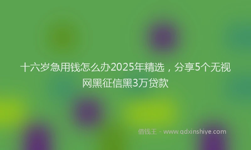 十六岁急用钱怎么办2025年精选，分享5个无视网黑征信黑3万贷款