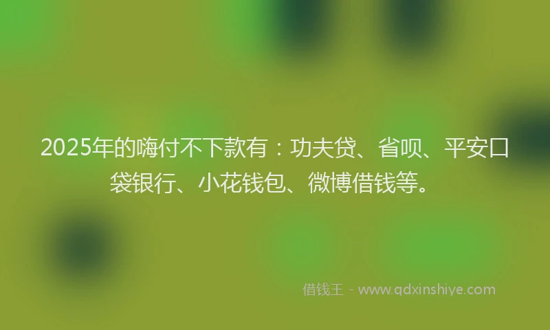2025年的嗨付不下款有：功夫贷、省呗、平安口袋银行、小花钱包、微博借钱等。